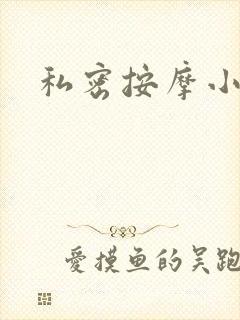 私密按摩小说