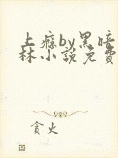 上瘾by黑暗森林小说免费