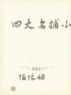 四大名捕小说
