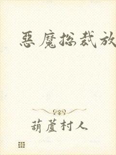 恶魔总裁放了我封面