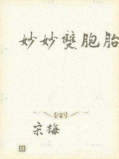 妙妙双胞胎封面