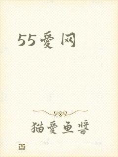 55爱网