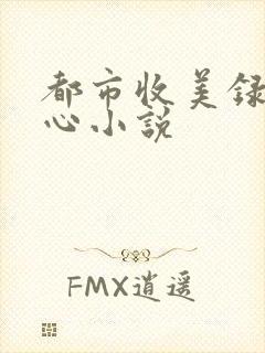 都市收美录宁素心小说