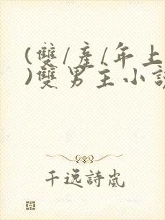 (双/产/年上)双男主小说