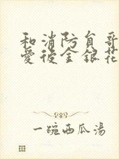 和消防员哥哥恋爱后金银花趣笔阁封面