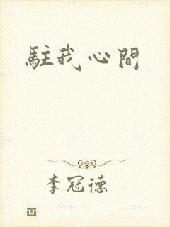 驻我心间封面