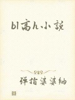 bl高h小说