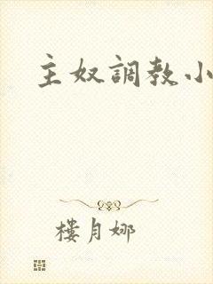 主奴调教小说封面