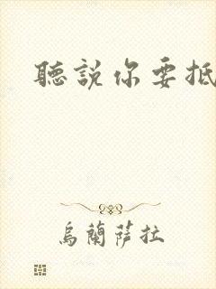 听说你要抵抗我