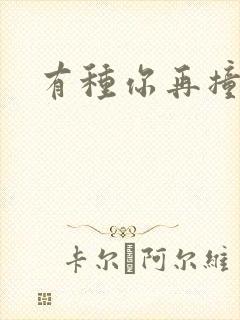 有种你再撞一下