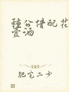 种公借配花间一壶酒