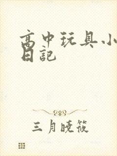 高中玩具小诗的日记
