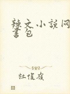 辣文小说网第二书包封面