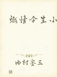 燃情今生小说