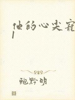 他的心尖宠1v1封面