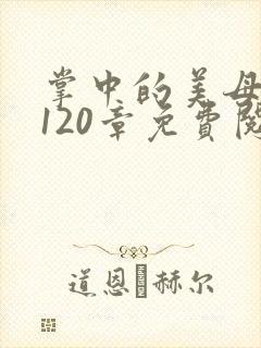 掌中的美母版主120章免费阅读