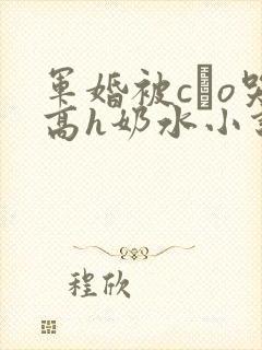 军婚被cαo哭高h奶水小说封面