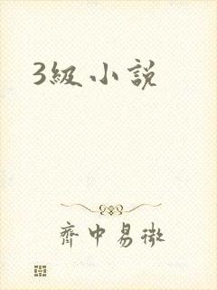 3级小说