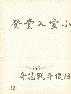 登堂入室小说