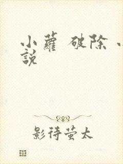 小萝 破除 小说