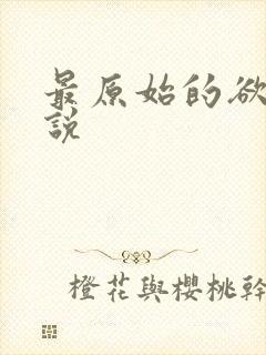 最原始的欲望小说