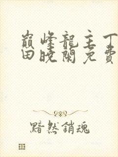 巅峰龙主丁长顺田晓兰免费阅读