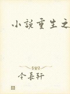 小说重生之官道