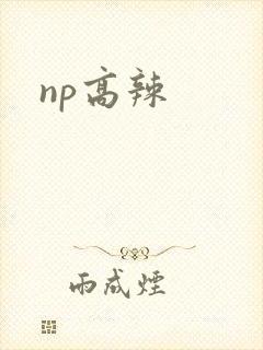 np高辣