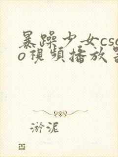 暴躁少女csgo视频播放器推荐