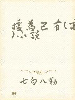 据为己有(高干)小说