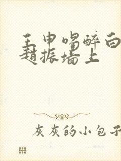 王申喝醉白洁被赵振墙上