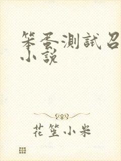 笨蛋测试召唤兽小说