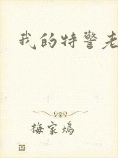 我的特警老婆封面