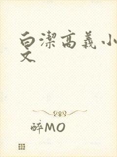 白洁高义小说全文