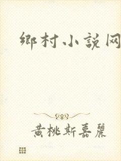 乡村小说网封面