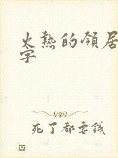 火热的领居中文字