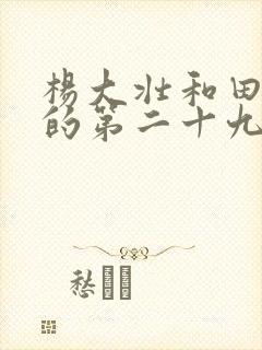 杨大壮和田桂花的第二十九