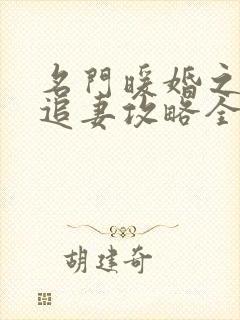 名门暖婚之权爷追妻攻略全文免费阅读封面