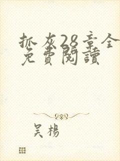 抓灰28章全部免费阅读