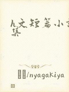 h文短篇小说合集