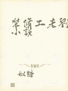 装修工老刘林雪小说