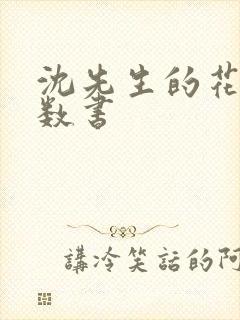 沈先生的花式调数书