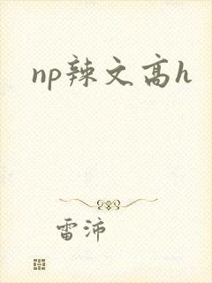 np辣文高h