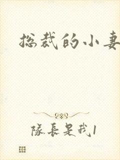 总裁的小妻子封面