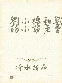 刘小棉和刘易文的小说免费阅读