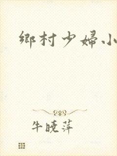 乡村少妇小说