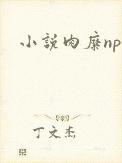 小说肉糜np