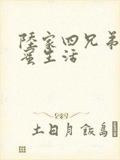 陆家四兄弟的甜蜜生活