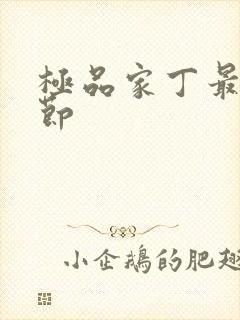 极品家丁最新章节