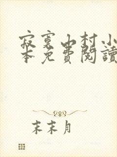 寂寞山村小说全本免费阅读封面